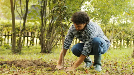 Closeup.-Portrait-of-a-farmer-planting-a-tree.-He-touches-the-tree,-then-looks-into-the-camera-and-smiles.-Blurred-background